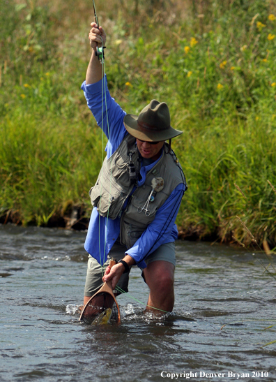 Flyfisherman landing rainbow trout