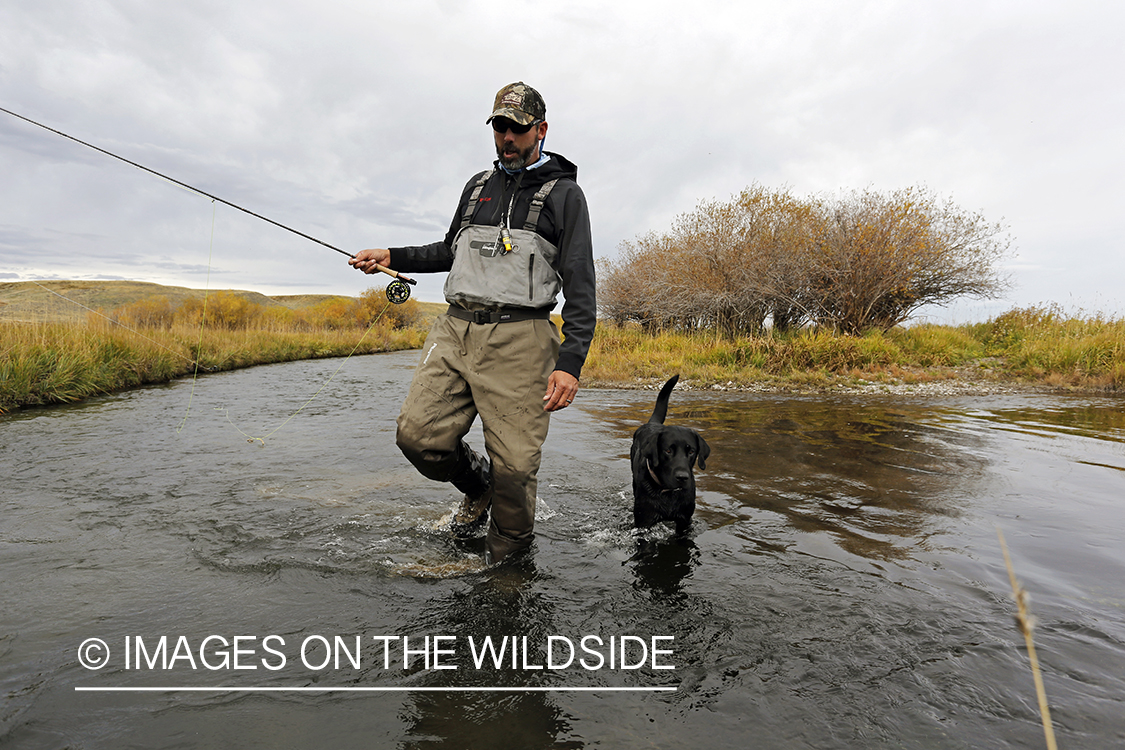 Flyfisherman on river with black lab.