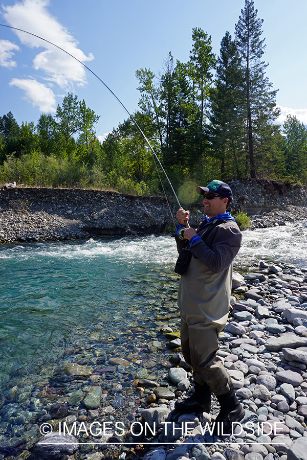 Flyfisherman casting on stream.