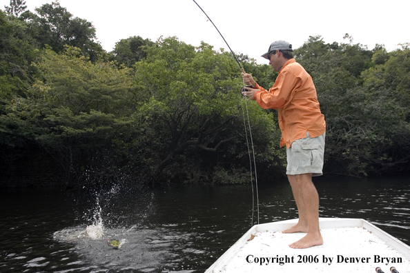 Peacock Bass fishing.