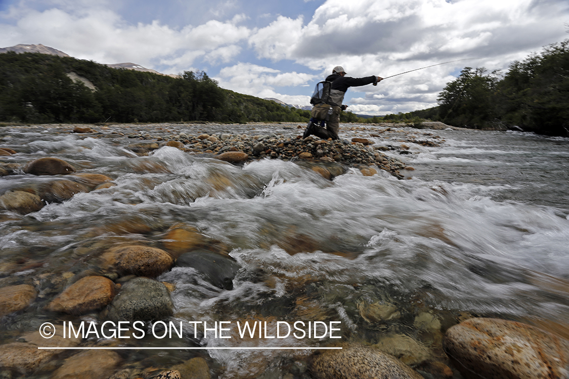 Flyfisherman fighting with trout.