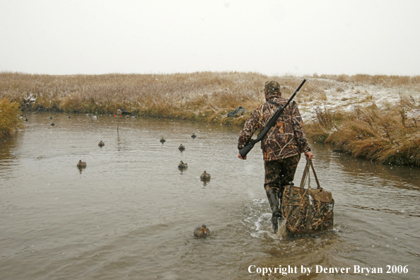 Duck hunting in winter