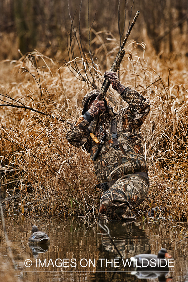 Waterfowl hunter taking aim in wetlands.