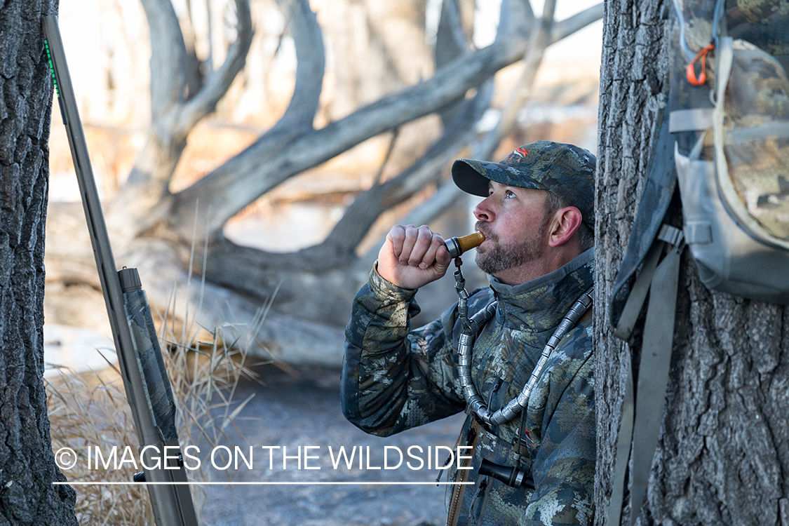 Waterfowl hunting