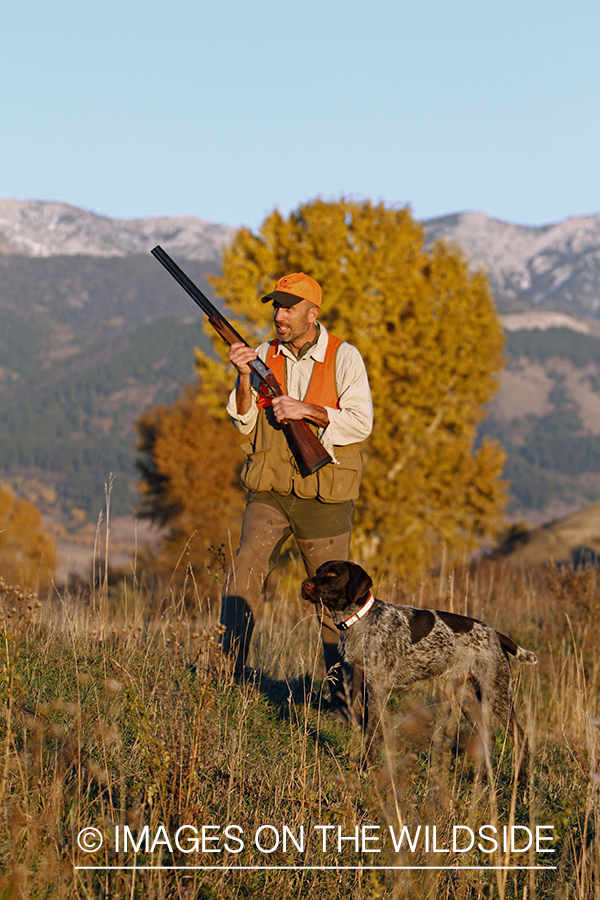 Upland game bird hunter in field with Griffon Pointer.