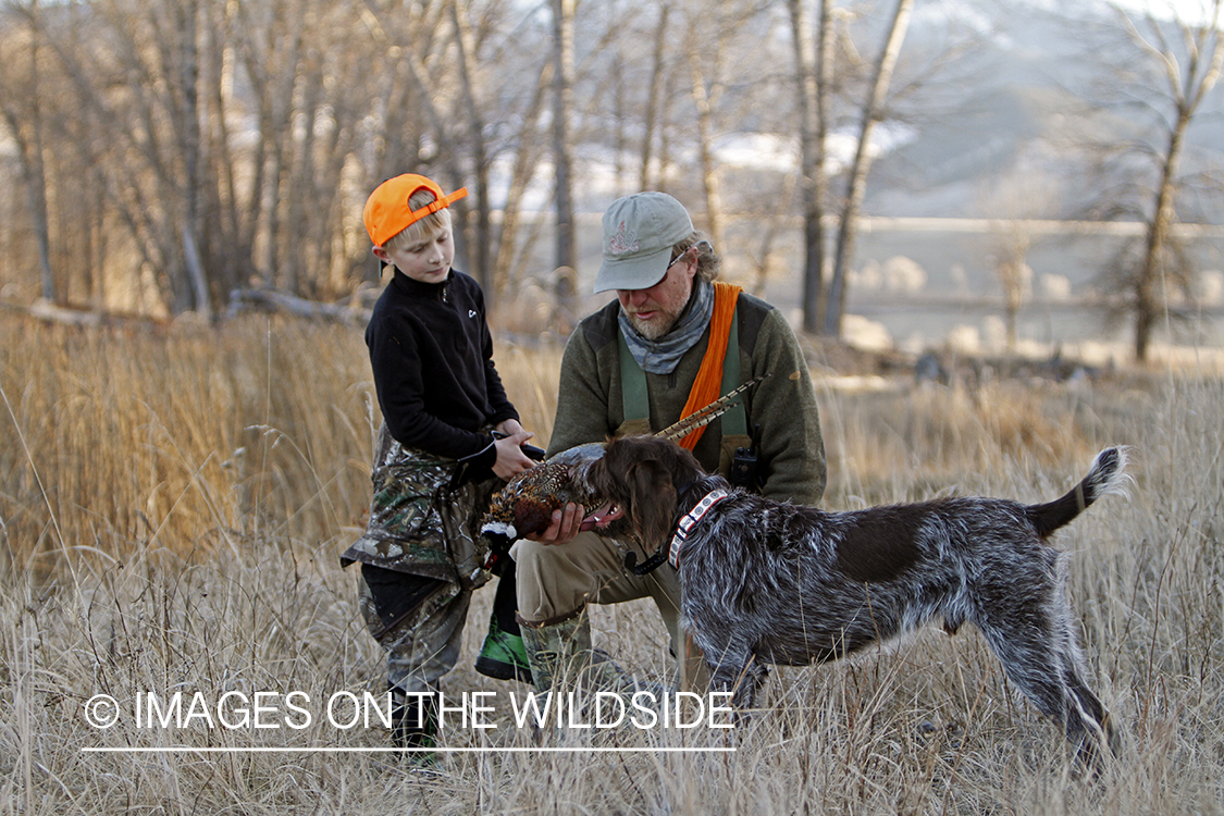 Father and son pheasant hunters with bagged pheasant. 