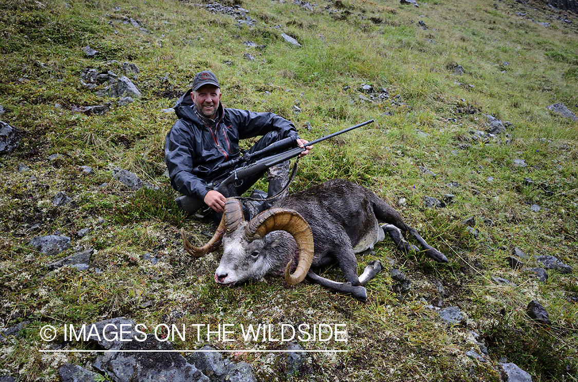 Stone sheep and Mountain goat hunting.