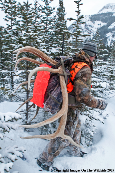 Hunter with elk rack