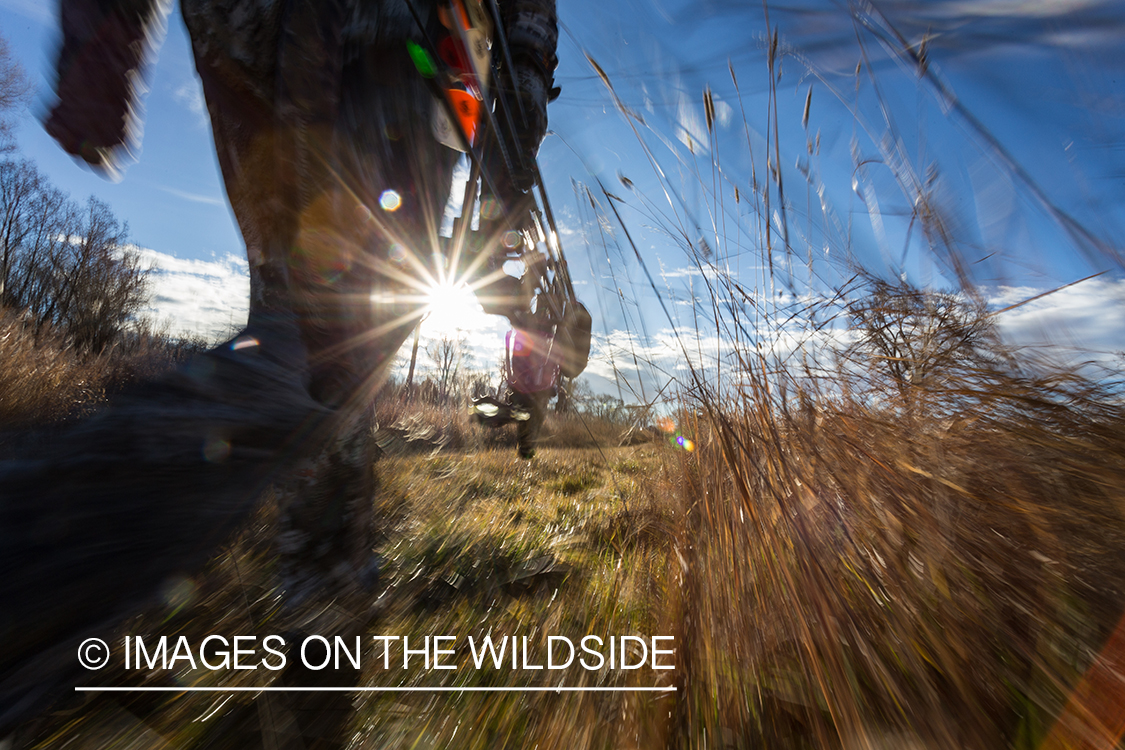 Bow hunter walking in field.