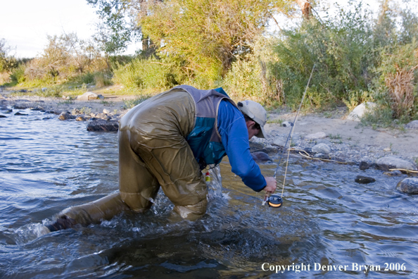 Flyfisherman on the river with waders full of water.  