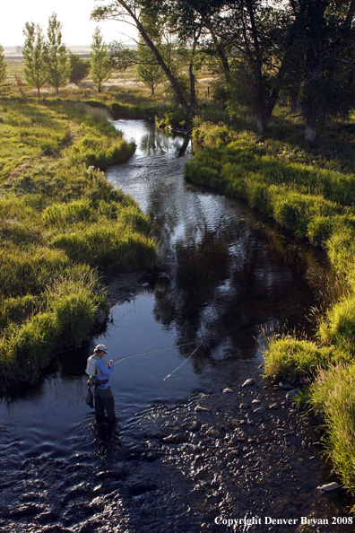 Flyfisherman fishing stream