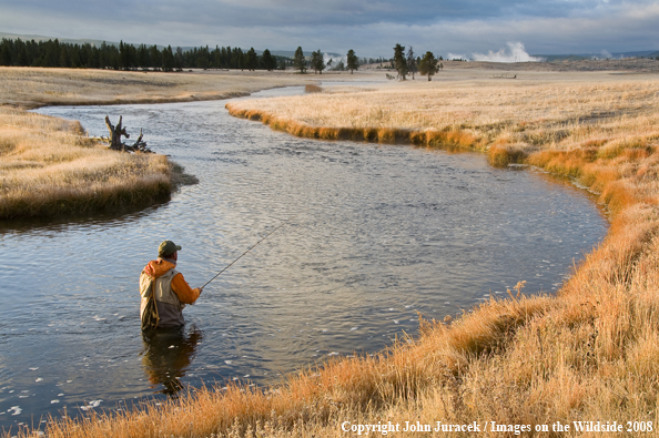 Freshwater Flyfishing