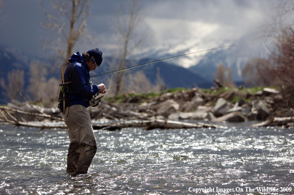 Flyfisherman attaching fly on stream.