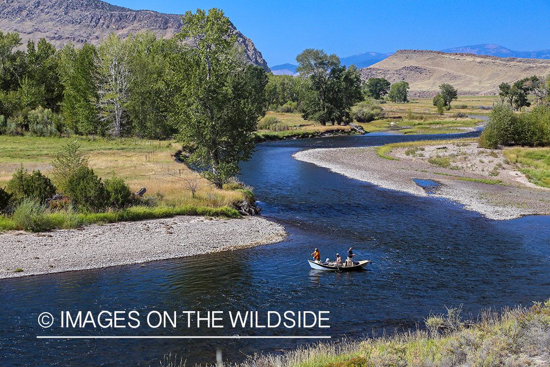 Flyfishermen in drift boat fishing river.