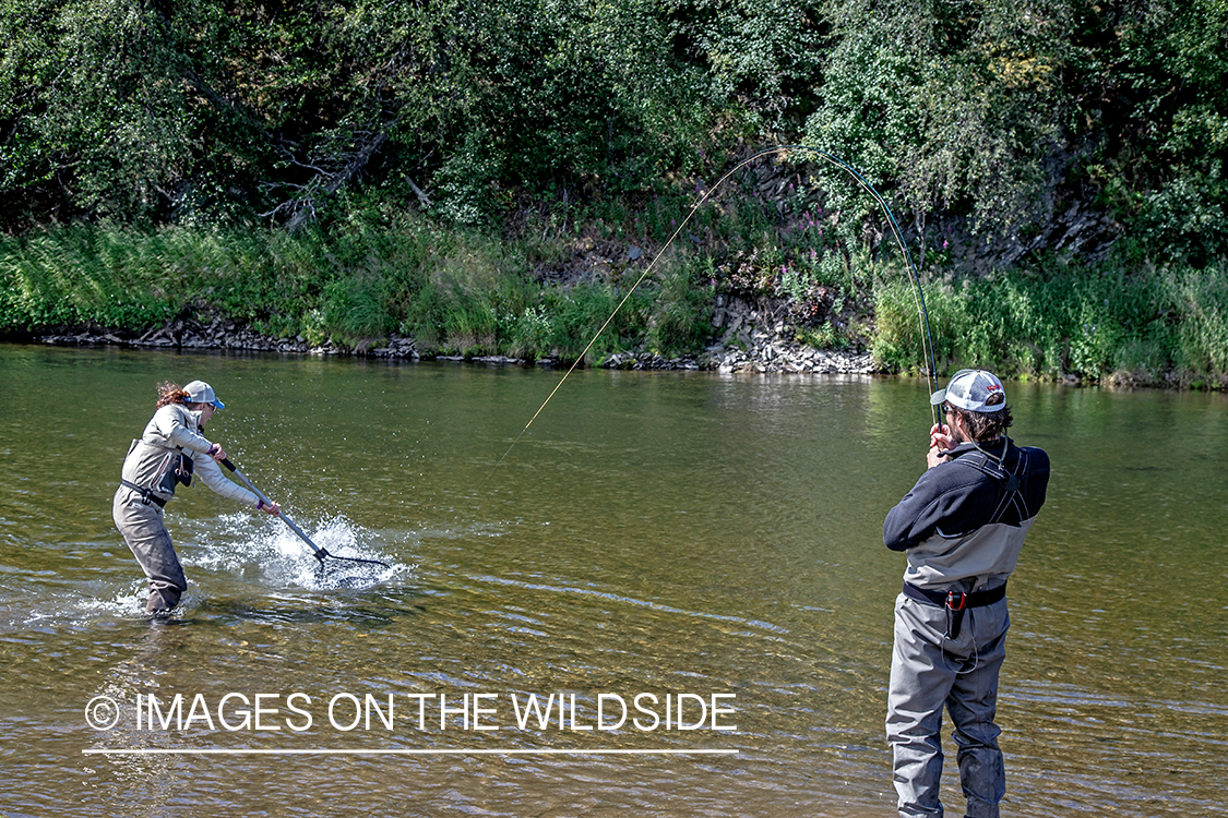 Flyfisherman landing trout/salmon.