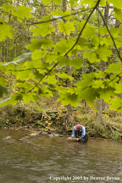 Flyfisherman holding a nice trout on a Pennsylvania spring creek.