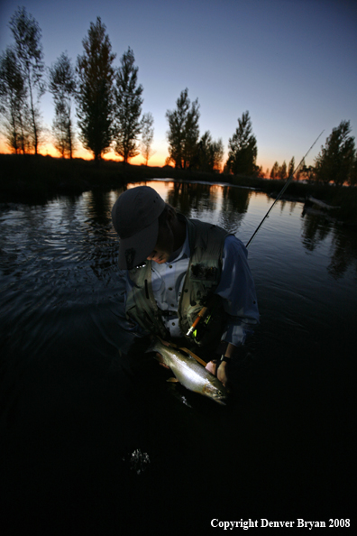 Flyfisherman with Rainbow Trout