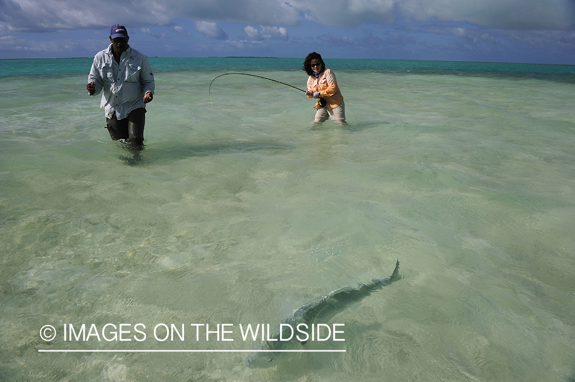 Flyfishermen fighting giant trevally.