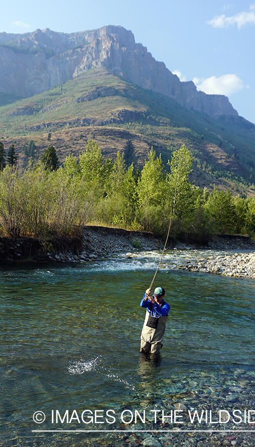 Flyfisherman casting on stream.