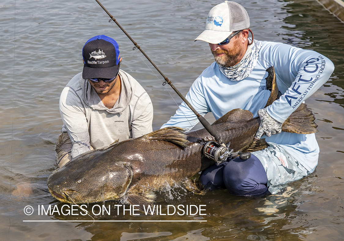 Flyfisherman with catfish on Amazon River in Venezuela.