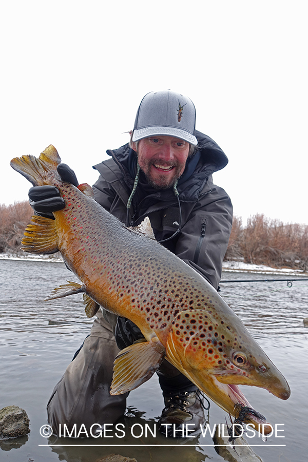 Flyfisherman with brown trout.