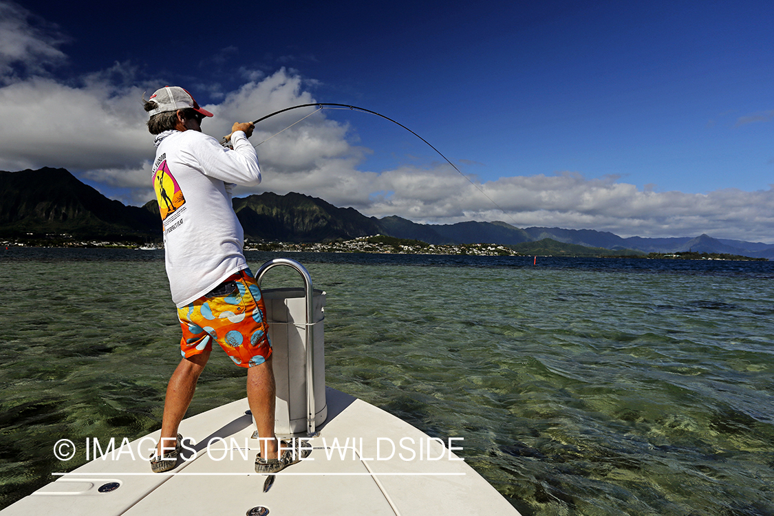 Saltwater flyfisherman fighting bonefish from flats boat, in Hawaii.