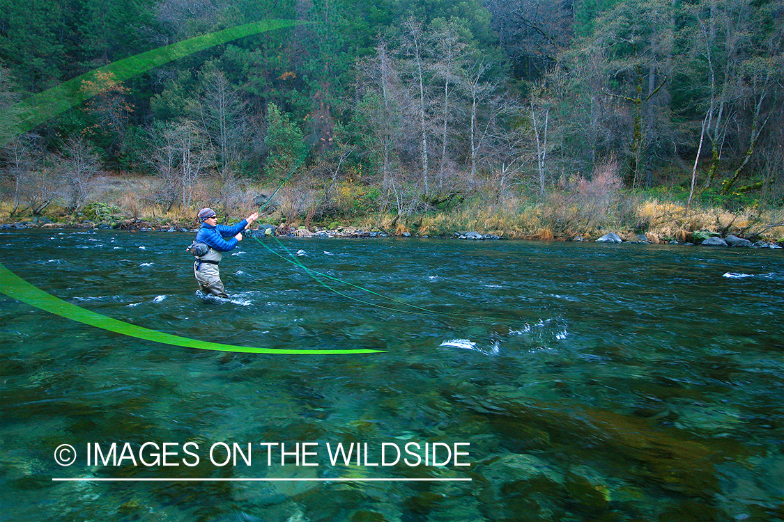 Flyfisherman on river. 