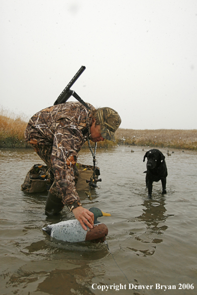 Duck hunting in winter