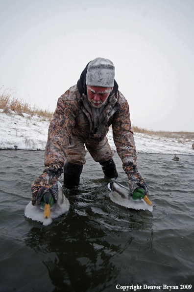 Duck Hunter setting Decoys