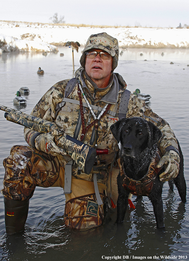 Waterfowl hunter and dog with decoys.