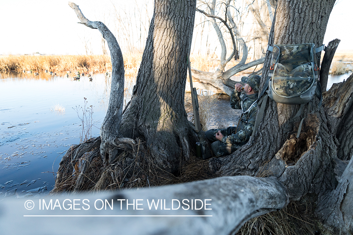 Waterfowl hunting