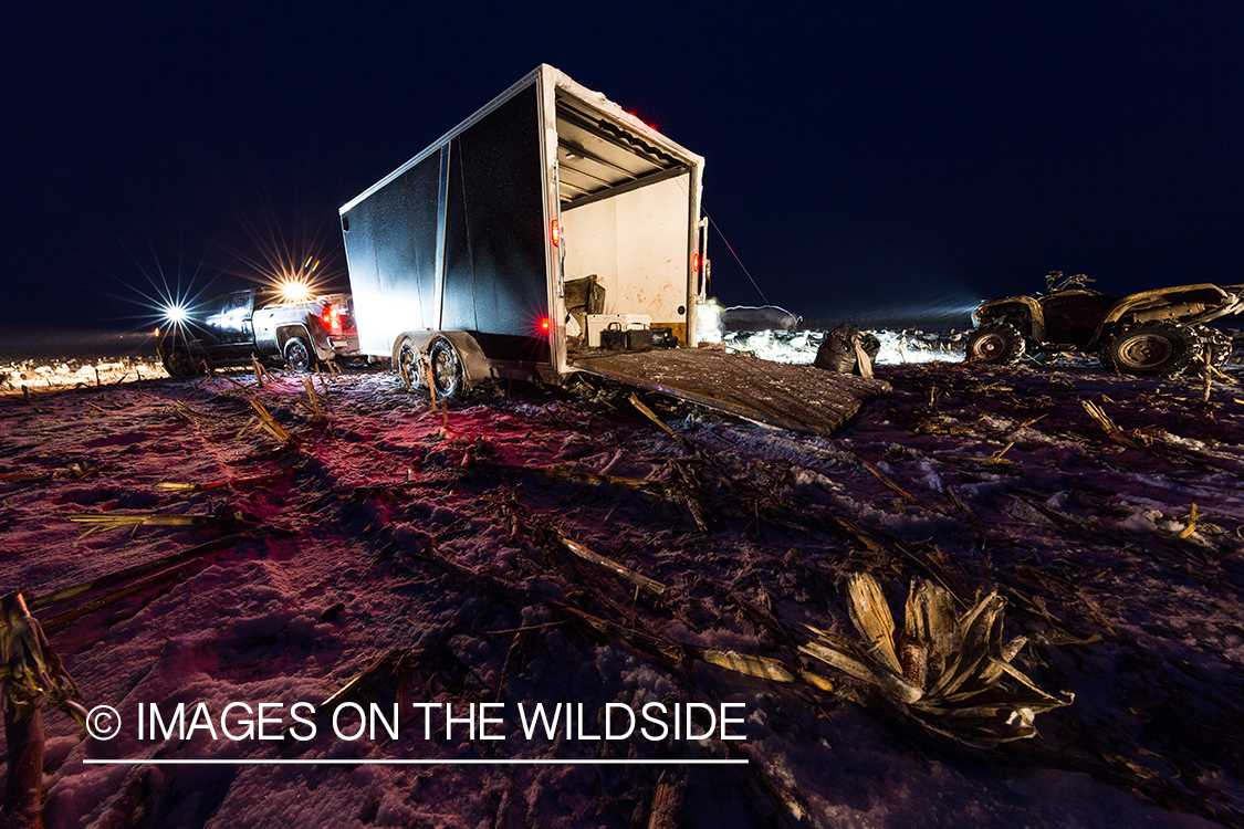 Setting up decoys at dawn. 