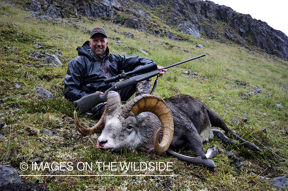 Stone sheep and Mountain goat hunting.