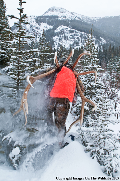 Hunter with elk rack