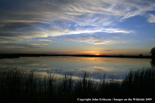 Sunset on wetlands