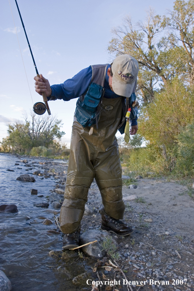 Flyfisherman on the river with waders full of water.  