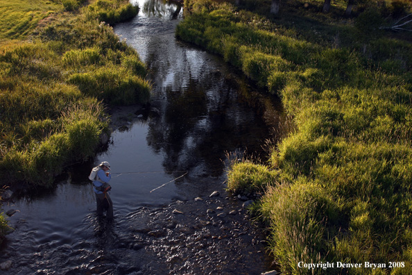 Flyfisherman fishing stream