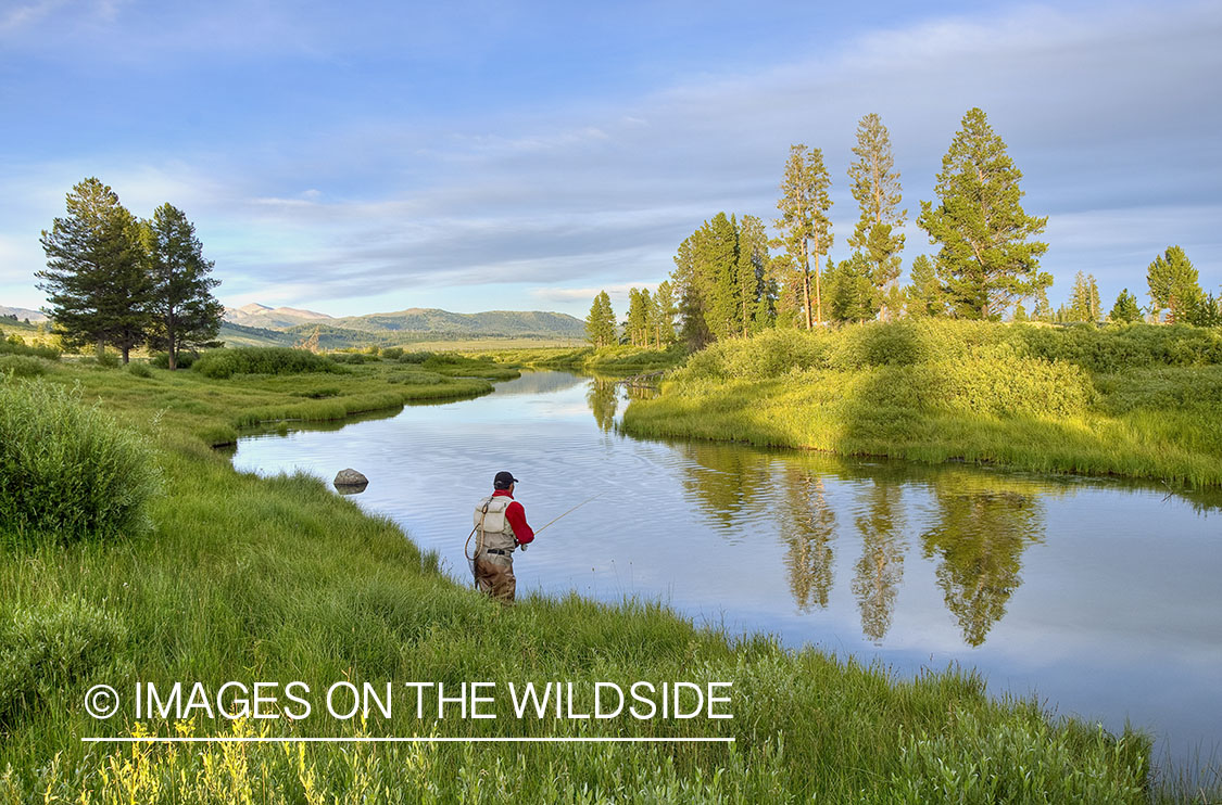 Flyfishing on Duck Creek, Montana.