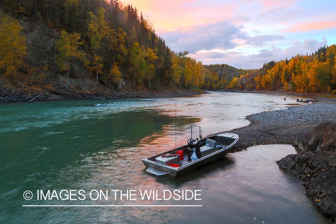 Stealhead flyfishermen with motor boat on river. 