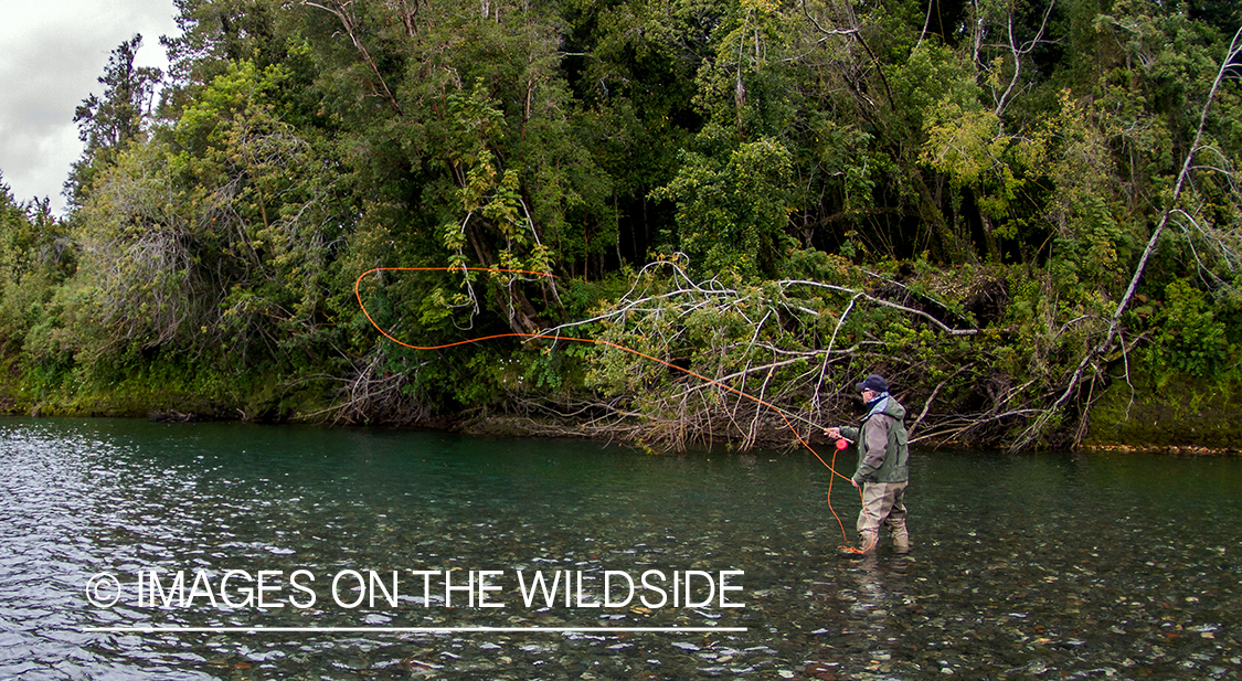 Flyfisherman casting line.