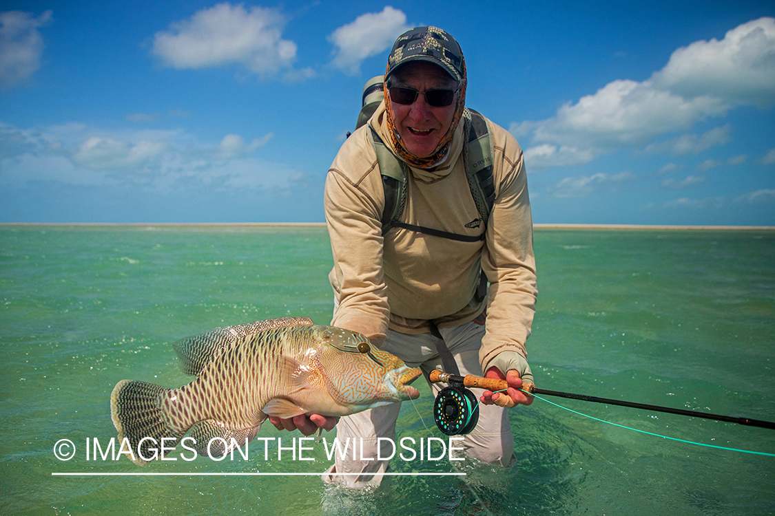 Flyfisherman with maori wrasse.