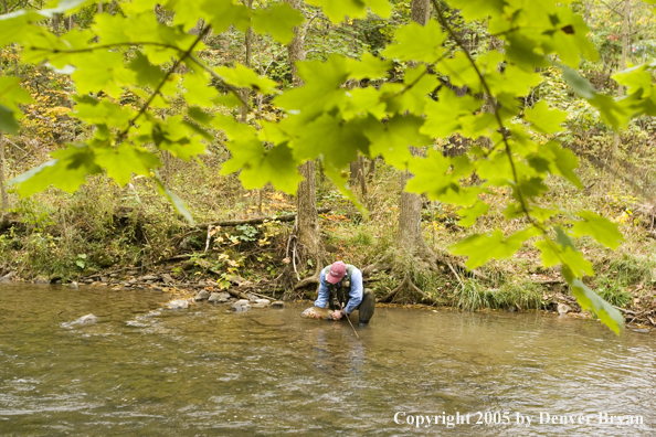 Flyfisherman holding a nice trout on a Pennsylvania spring creek.