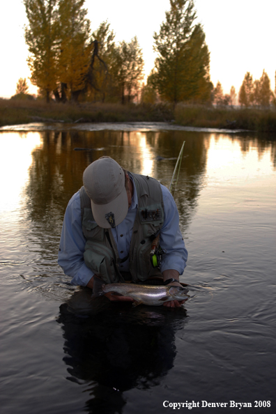 Flyfisherman with Rainbow Trout