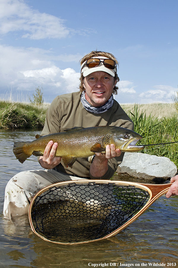 Flyfisher fighting jumping rainbow trout in spring creek.