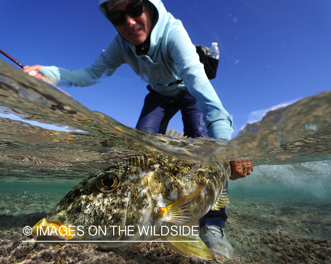 Flyfisherman with sweetlips emperor fish.