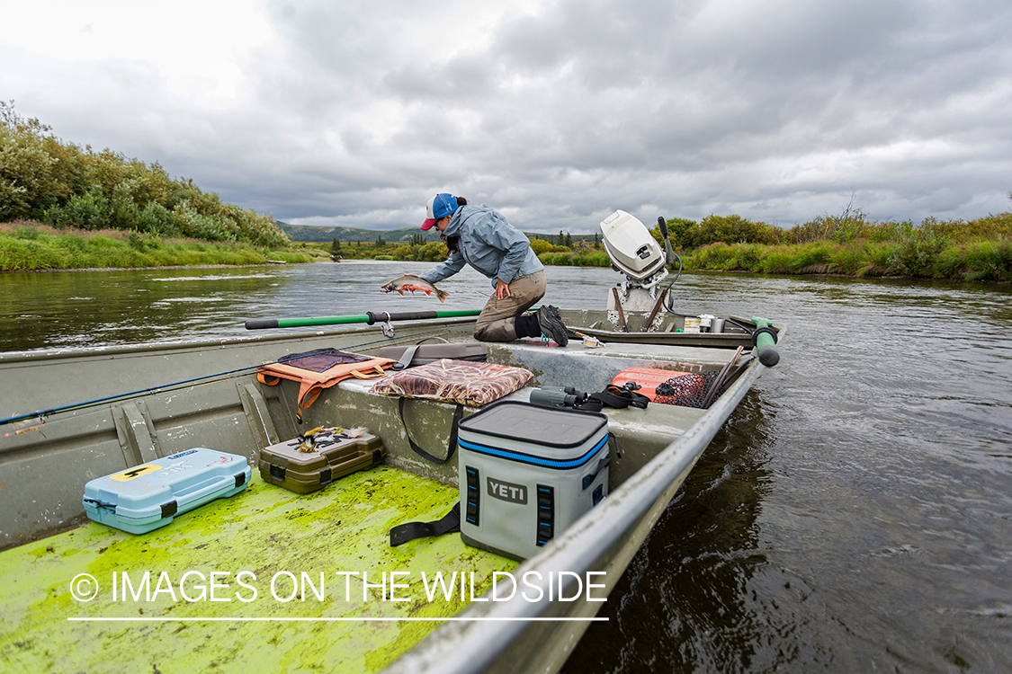 Flyfisher Camille Egdorf with Dolly Varden. Nushagak river, Alaska. 