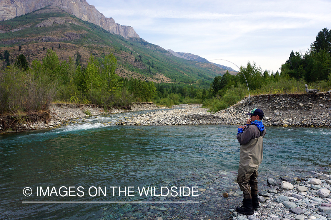 Flyfisherman casting on stream.