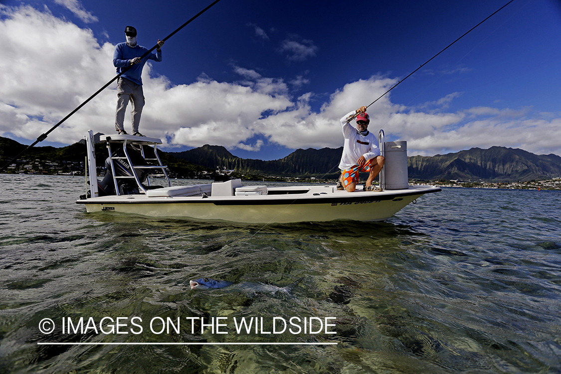 Saltwater flyfisherman fighting bonefish from flats boat, in Hawaii.