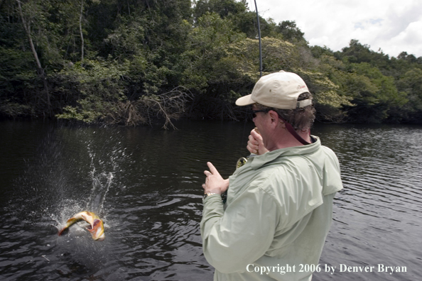 Peacock Bass fishing.