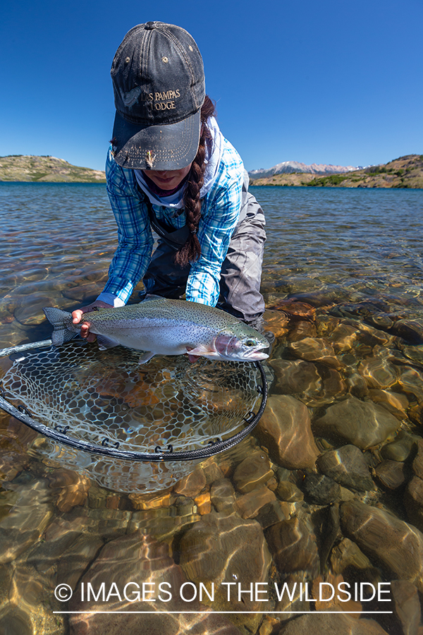 Woman fly fishing guide(Marcela Appelhanz) on stream.